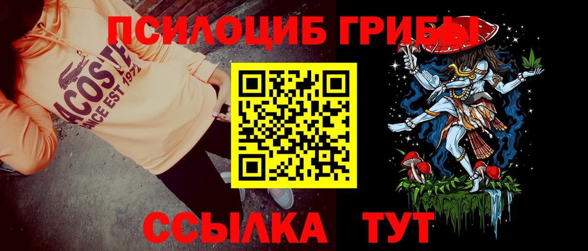 Псилоцибиновые грибы MAGIC MUSHROOMS Полысаево